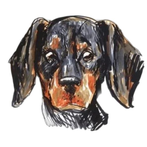 face, animal, watercolor, photorealistic transparent PNG cut-out