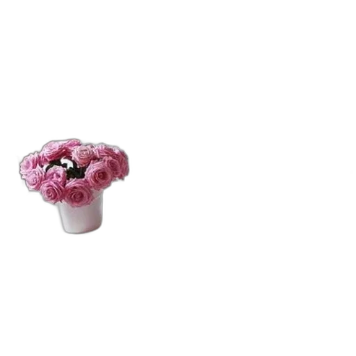 flower, food, furniture, crown transparent PNG cut-out