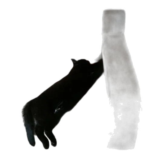 animal, creature, food, mask transparent PNG cut-out