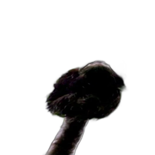 hat, staff, hair, umbrella transparent PNG cut-out