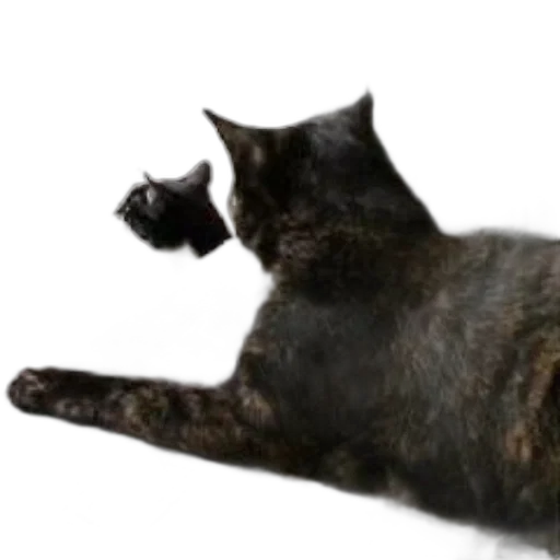 animal, staff, creature, weapon transparent PNG cut-out