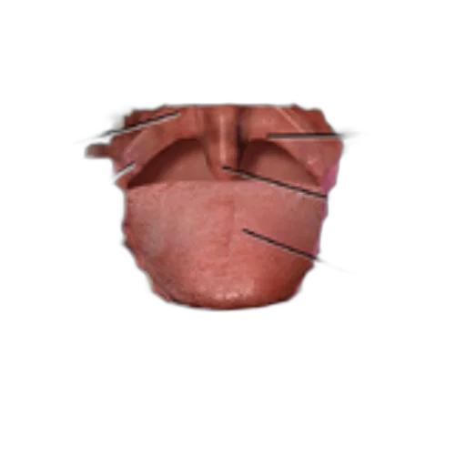 mask, hat, crown, face transparent PNG cut-out