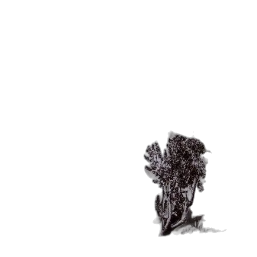 tree, hair, crown, robot transparent PNG cut-out