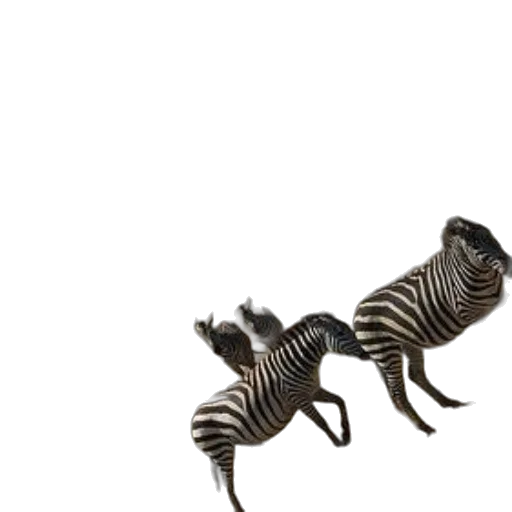 animal, furniture, jewelry, staff transparent PNG cut-out