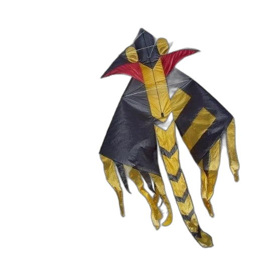 mask, umbrella, jacket, dragon transparent PNG cut-out