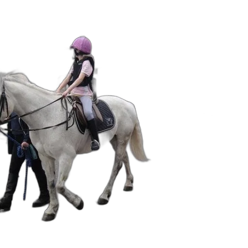concept art, photorealistic, 3d render, young transparent PNG cut-out