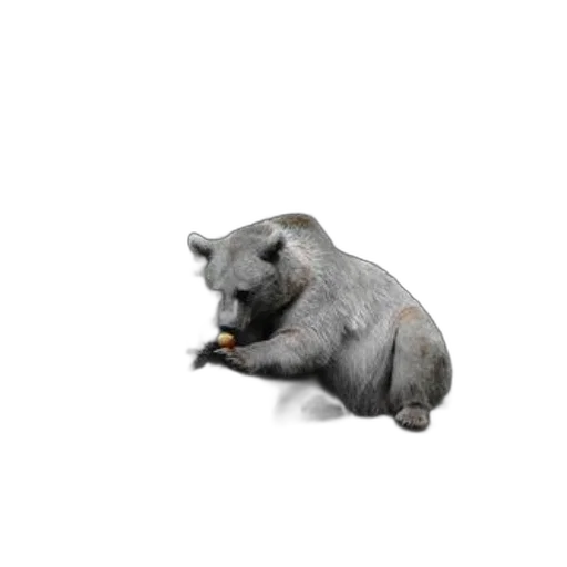 animal, food, creature, dragon transparent PNG cut-out