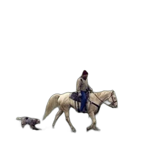 animal, staff, creature, jacket transparent PNG cut-out