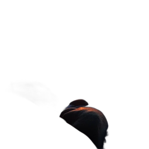 hat, mask, jacket, face transparent PNG cut-out