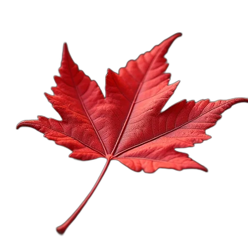 crown, flower, staff, tree transparent PNG cut-out