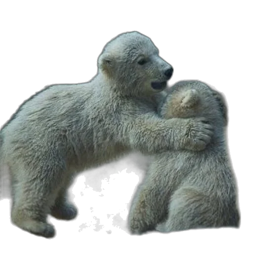animal, creature, concept art, photorealistic transparent PNG cut-out