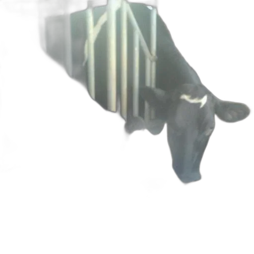 animal, creature, mask, weapon transparent PNG cut-out