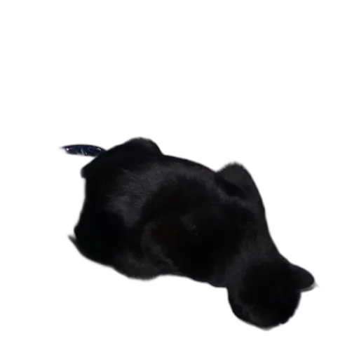 animal, hat, staff, creature transparent PNG cut-out