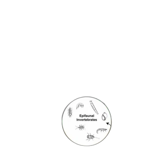 staff, monochrome, diagram, illustrating transparent PNG cut-out