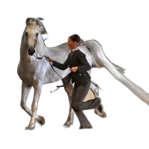staff, dragon, weapon, animal transparent PNG cut-out