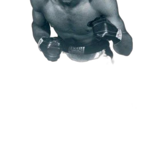 weapon, mask, animal, face transparent PNG cut-out