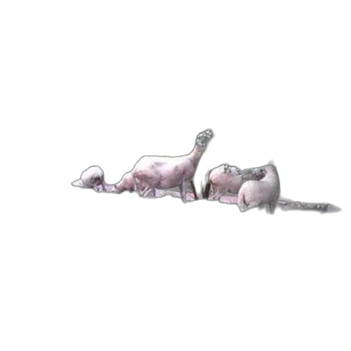 animal, creature, dragon, weapon transparent PNG cut-out