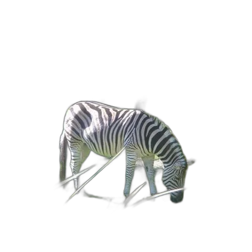 animal, creature, furniture, weapon transparent PNG cut-out