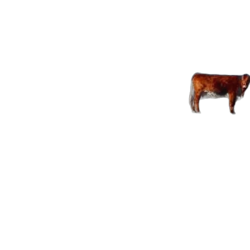 animal, food, creature, furniture transparent PNG cut-out