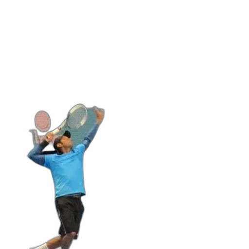 hat, staff, animal, shoes transparent PNG cut-out