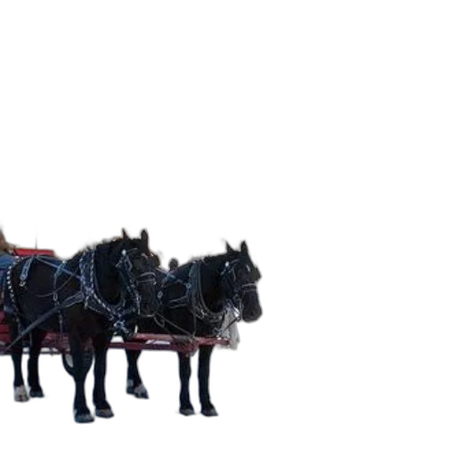 car, animal, staff, dragon transparent PNG cut-out