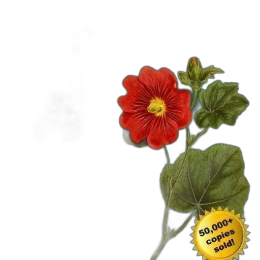 flower, crown, staff, weapon transparent PNG cut-out