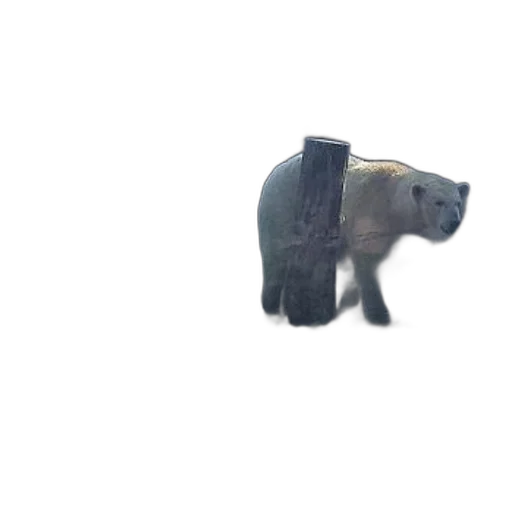 animal, creature, weapon, robot transparent PNG cut-out