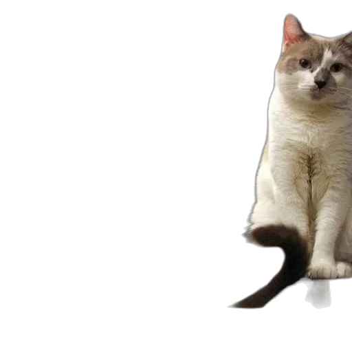 animal, staff, creature, robot transparent PNG cut-out