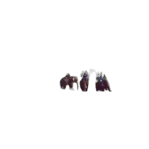 hair, crown, jacket, jewelry transparent PNG cut-out