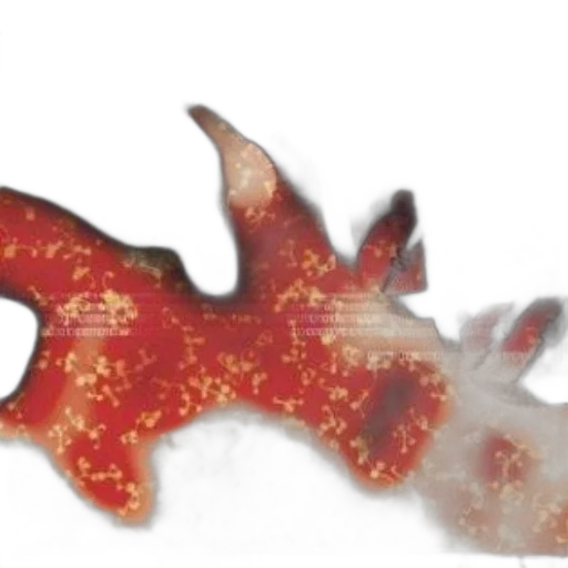 animal, creature, dragon, weapon transparent PNG cut-out