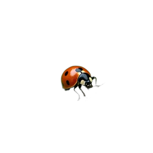 animal, creature, pixel art, concept art transparent PNG cut-out