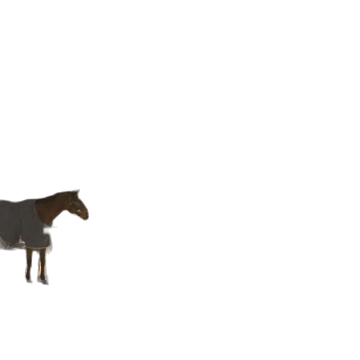 animal, creature, staff, furniture transparent PNG cut-out