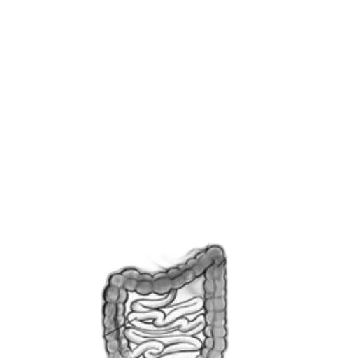 jewelry, food, crown, face transparent PNG cut-out