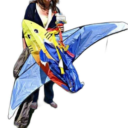umbrella, jacket, staff, weapon transparent PNG cut-out