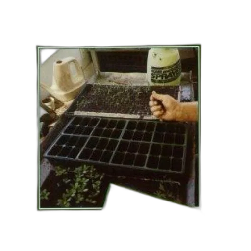 book, cover, titled, gardening transparent PNG cut-out