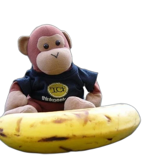 food, animal, creature, staff transparent PNG cut-out