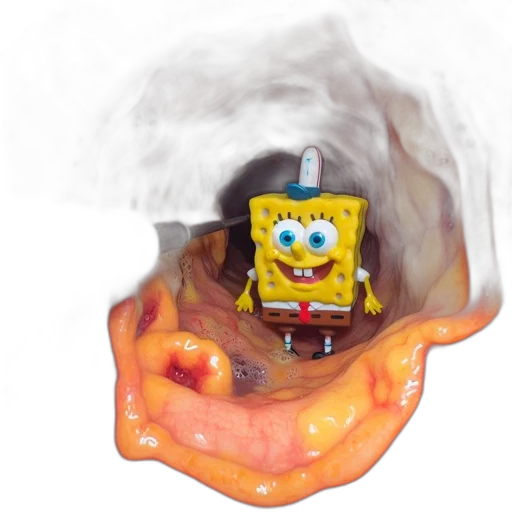 creature, food, face, animal transparent PNG cut-out