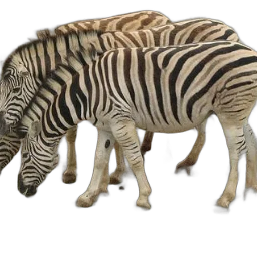 animal, creature, 3d render, concept art transparent PNG cut-out