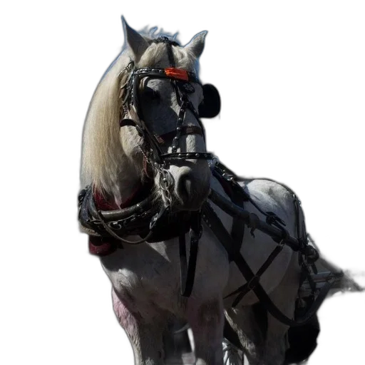 animal, staff, weapon, robot transparent PNG cut-out