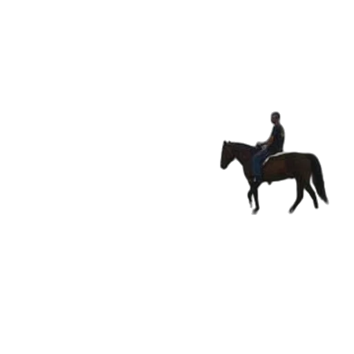 animal, creature, hat, car transparent PNG cut-out