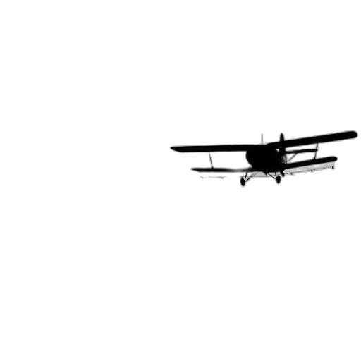 animal, weapon, staff, dragon transparent PNG cut-out