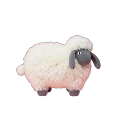 animal, creature, hat, food transparent PNG cut-out