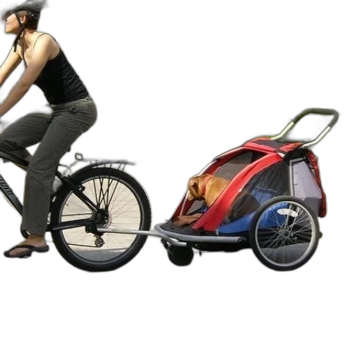 3d render, concept art, photorealistic, woman transparent PNG cut-out