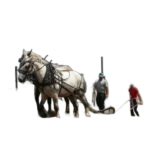 animal, staff, creature, weapon transparent PNG cut-out