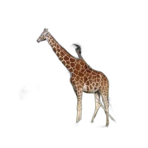 animal, creature, staff, weapon transparent PNG cut-out