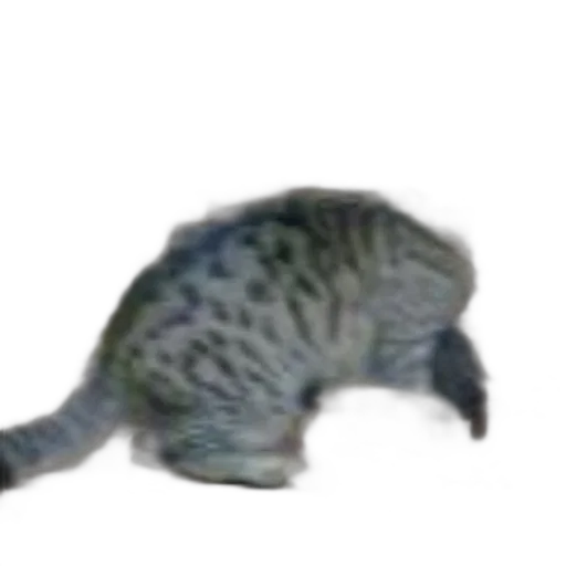 creature, animal, dragon, staff transparent PNG cut-out