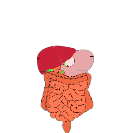 food, hat, crown, animal transparent PNG cut-out