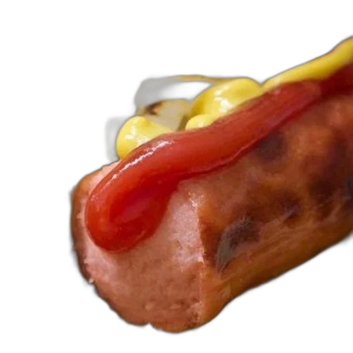 food, weapon, animal, 3d render transparent PNG cut-out