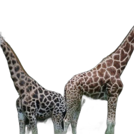 animal, creature, jewelry, 3d render transparent PNG cut-out