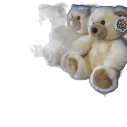 3d render, display, teddy, bears transparent PNG cut-out